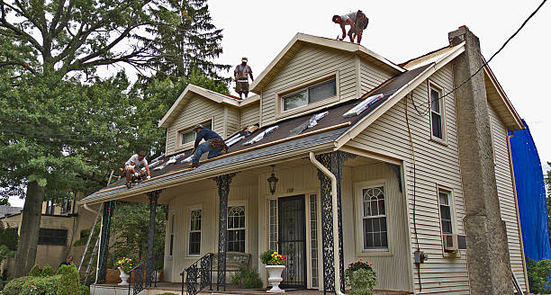 Best Flat Roof Repair Services  in Tea, SD